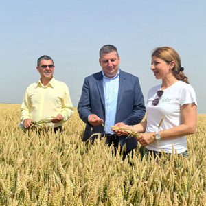 Zamenik Santovac na Danu polja strnih žita i ogleda zaštite bilja: značajna izdvajanja Grada Zrenjanina za poljoprivredu, ove godine 29 miliona dinara