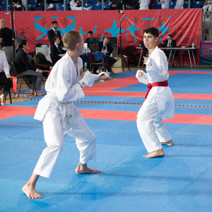 Karate spektakl u Zrenjaninu i trijumf reprezentacije Srbije - 1250 takmičara iz 29 zemalja na svetskom šotokan šampionatu i kupu