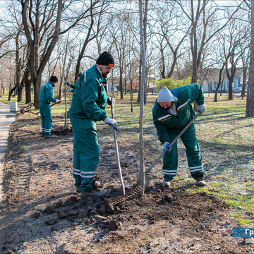U Zrenjaninu nastavljena sadnja drveća nabavljenih u akciji DDOR osiguranja "Za šumu u tvom kraju" - u Karađorđevom parku zasađeno više od 75 stabala