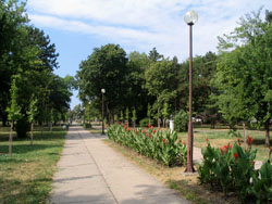 Karađorđev park