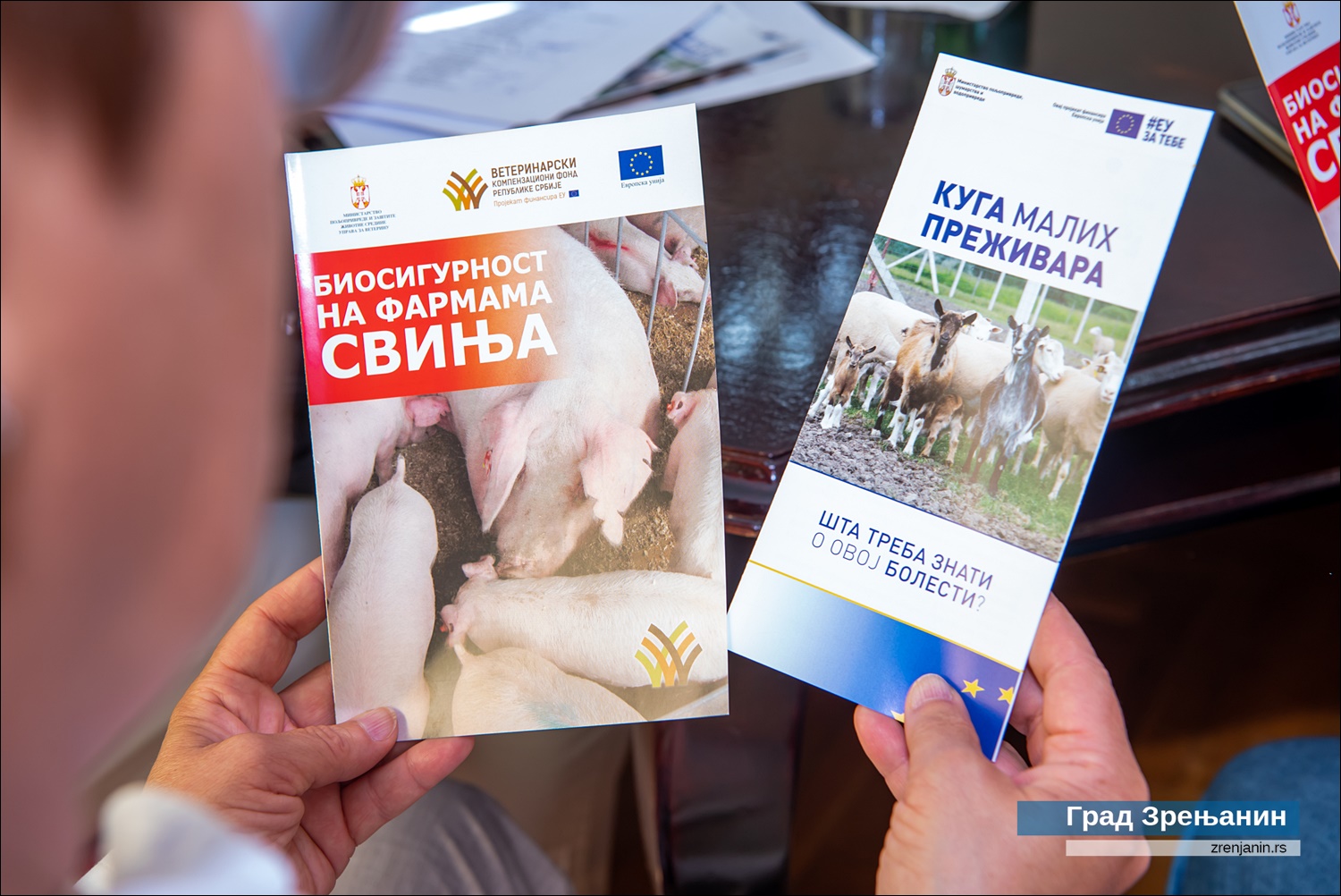 Седница Окружног штаба за ванредне ситуације Средњобанатског управног округа – без случајева заразе афричком кугом свиња